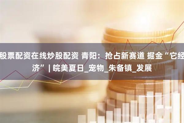 股票配资在线炒股配资 青阳：抢占新赛道 掘金“它经济” | 皖美夏日_宠物_朱备镇_发展