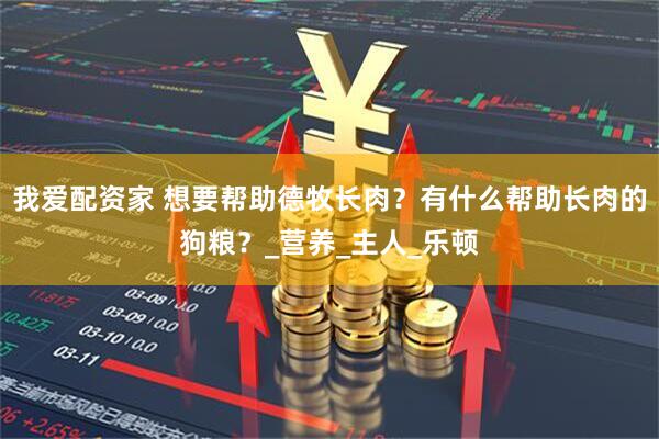 我爱配资家 想要帮助德牧长肉？有什么帮助长肉的狗粮？_营养_主人_乐顿